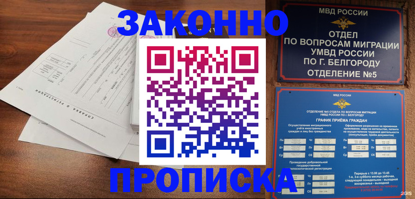 прописка в Дальнегорске